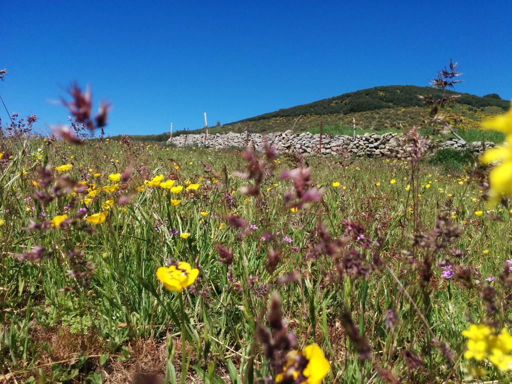 فندق Hostal Refugio De Gredos نافاريدوندا دي غريدوس المظهر الخارجي الصورة