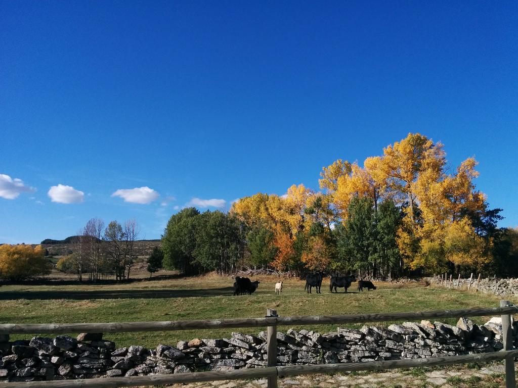 فندق Hostal Refugio De Gredos نافاريدوندا دي غريدوس المظهر الخارجي الصورة